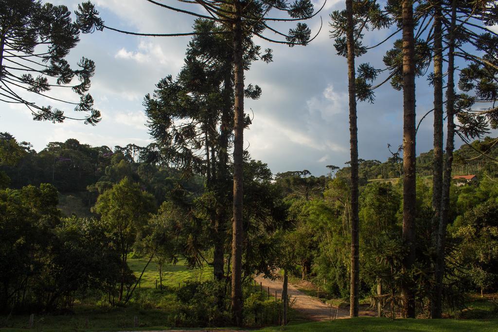Pousada E Restaurante Recanto Do Pico Santo Antônio do Pinhal Exterior photo
